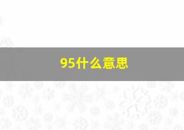 95什么意思