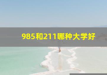 985和211哪种大学好