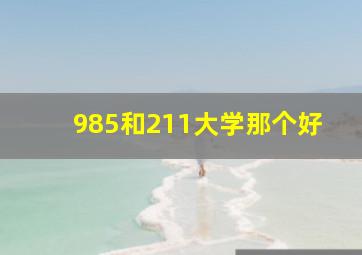 985和211大学那个好