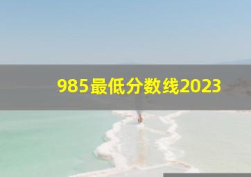 985最低分数线2023