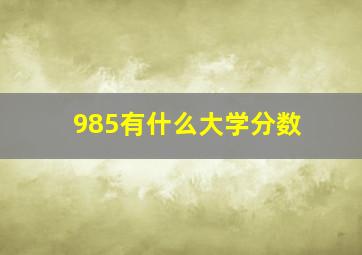 985有什么大学分数