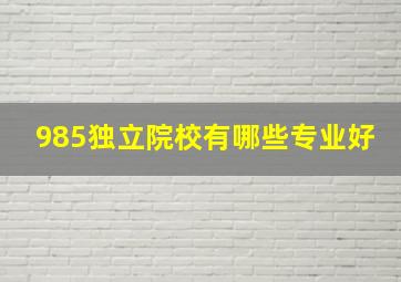 985独立院校有哪些专业好