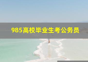 985高校毕业生考公务员