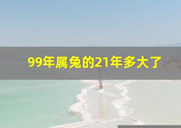 99年属兔的21年多大了