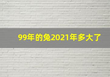 99年的兔2021年多大了