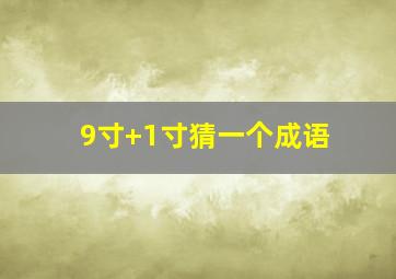 9寸+1寸猜一个成语