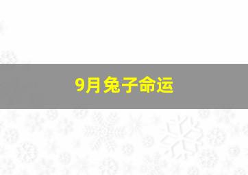 9月兔子命运