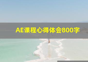 AE课程心得体会800字