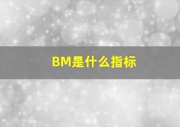 BM是什么指标