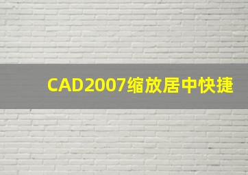 CAD2007缩放居中快捷