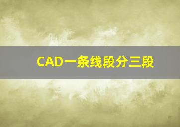 CAD一条线段分三段