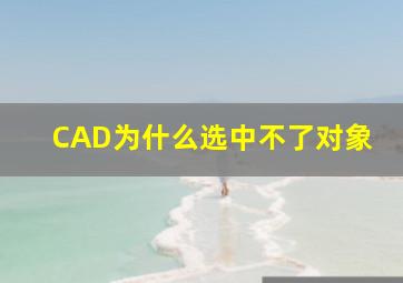 CAD为什么选中不了对象