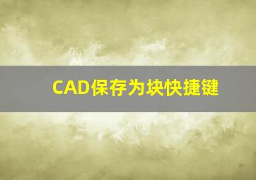 CAD保存为块快捷键