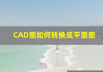 CAD图如何转换成平面图