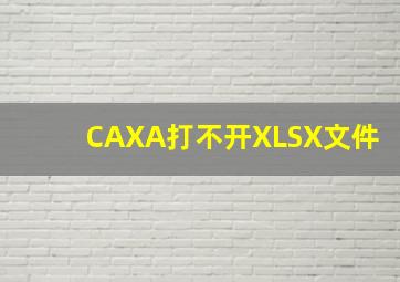 CAXA打不开XLSX文件