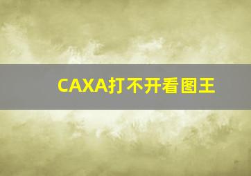 CAXA打不开看图王