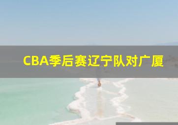 CBA季后赛辽宁队对广厦