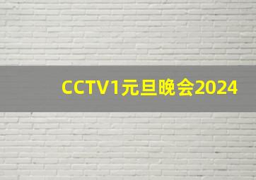 CCTV1元旦晚会2024