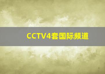 CCTV4套国际频道