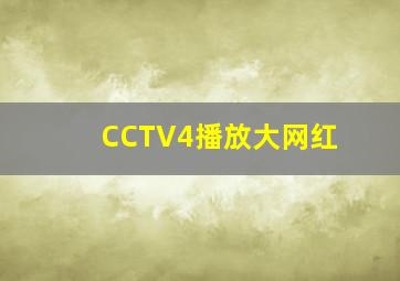 CCTV4播放大网红