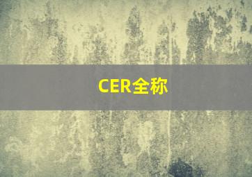 CER全称