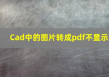 Cad中的图片转成pdf不显示