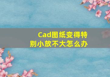 Cad图纸变得特别小放不大怎么办