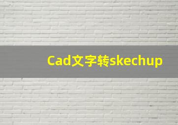 Cad文字转skechup