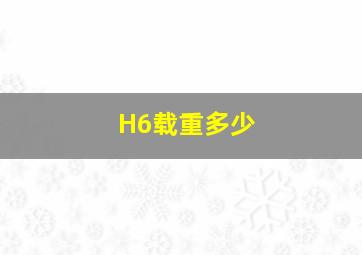 H6载重多少