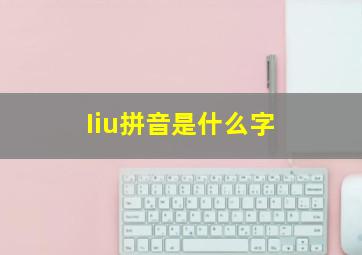 Iiu拼音是什么字