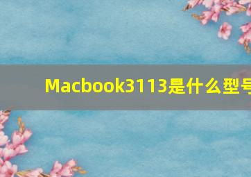 Macbook3113是什么型号