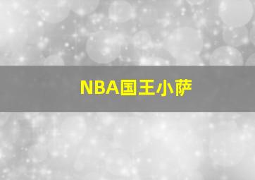 NBA国王小萨