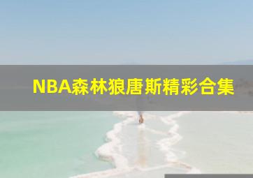 NBA森林狼唐斯精彩合集