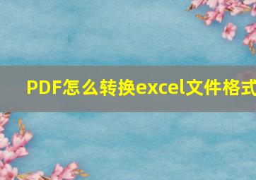 PDF怎么转换excel文件格式