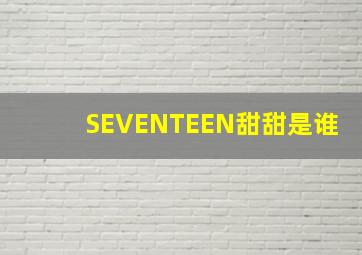 SEVENTEEN甜甜是谁