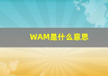 WAM是什么意思