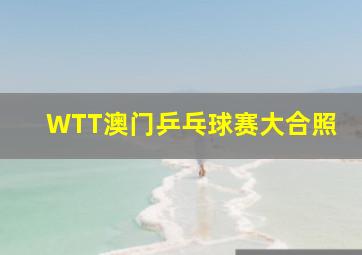 WTT澳门乒乓球赛大合照