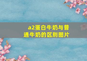 a2蛋白牛奶与普通牛奶的区别图片