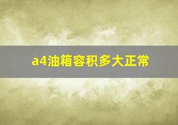 a4油箱容积多大正常