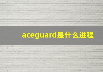 aceguard是什么进程