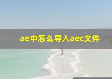 ae中怎么导入aec文件