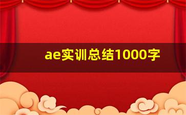 ae实训总结1000字