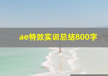 ae特效实训总结800字