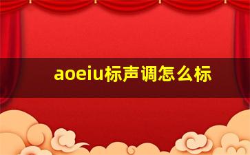 aoeiu标声调怎么标