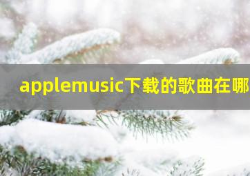 applemusic下载的歌曲在哪儿