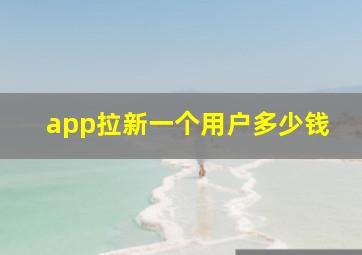 app拉新一个用户多少钱