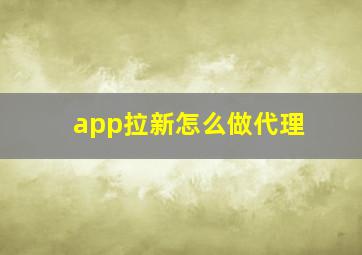 app拉新怎么做代理