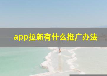 app拉新有什么推广办法