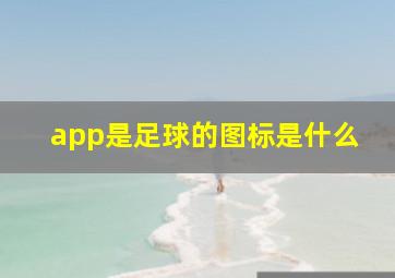 app是足球的图标是什么