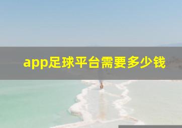 app足球平台需要多少钱